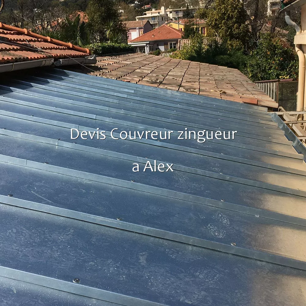Devis Couvreur zingueur a Alex