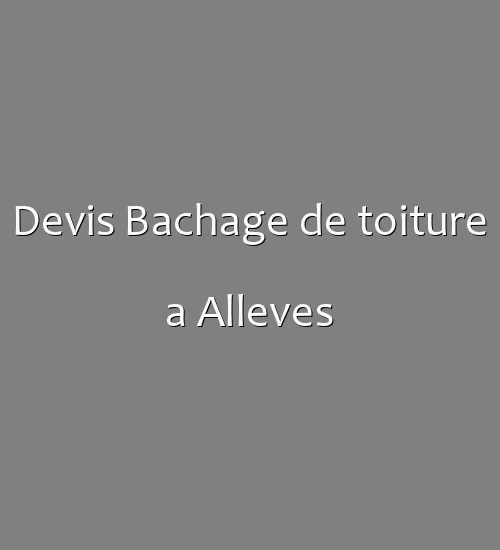 Devis Bachage de toiture a Alleves