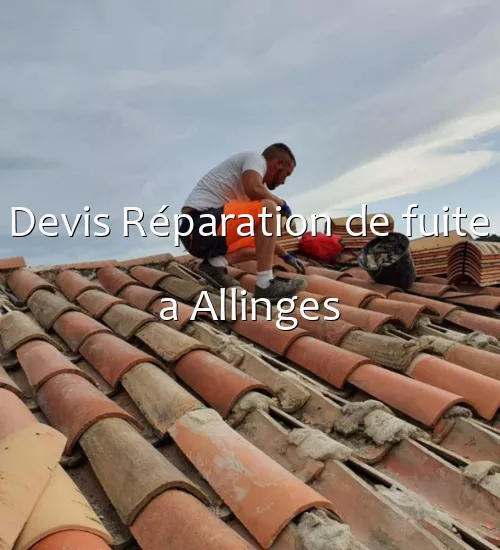 Devis Réparation de fuite a Allinges