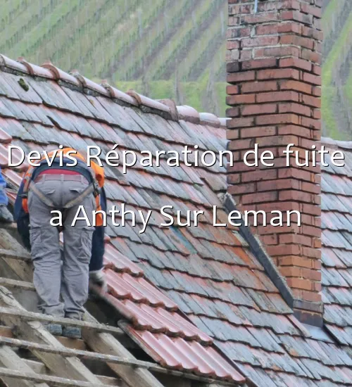Devis Réparation de fuite a Anthy Sur Leman