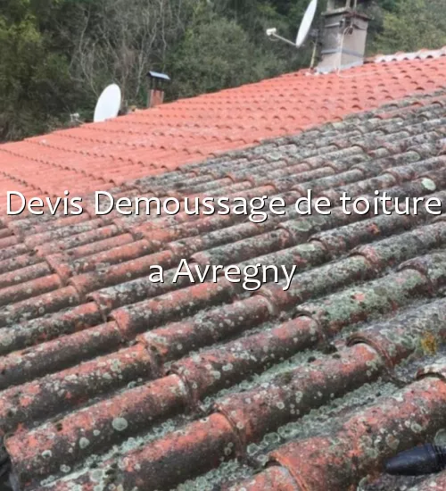 Devis Demoussage de toiture a Avregny