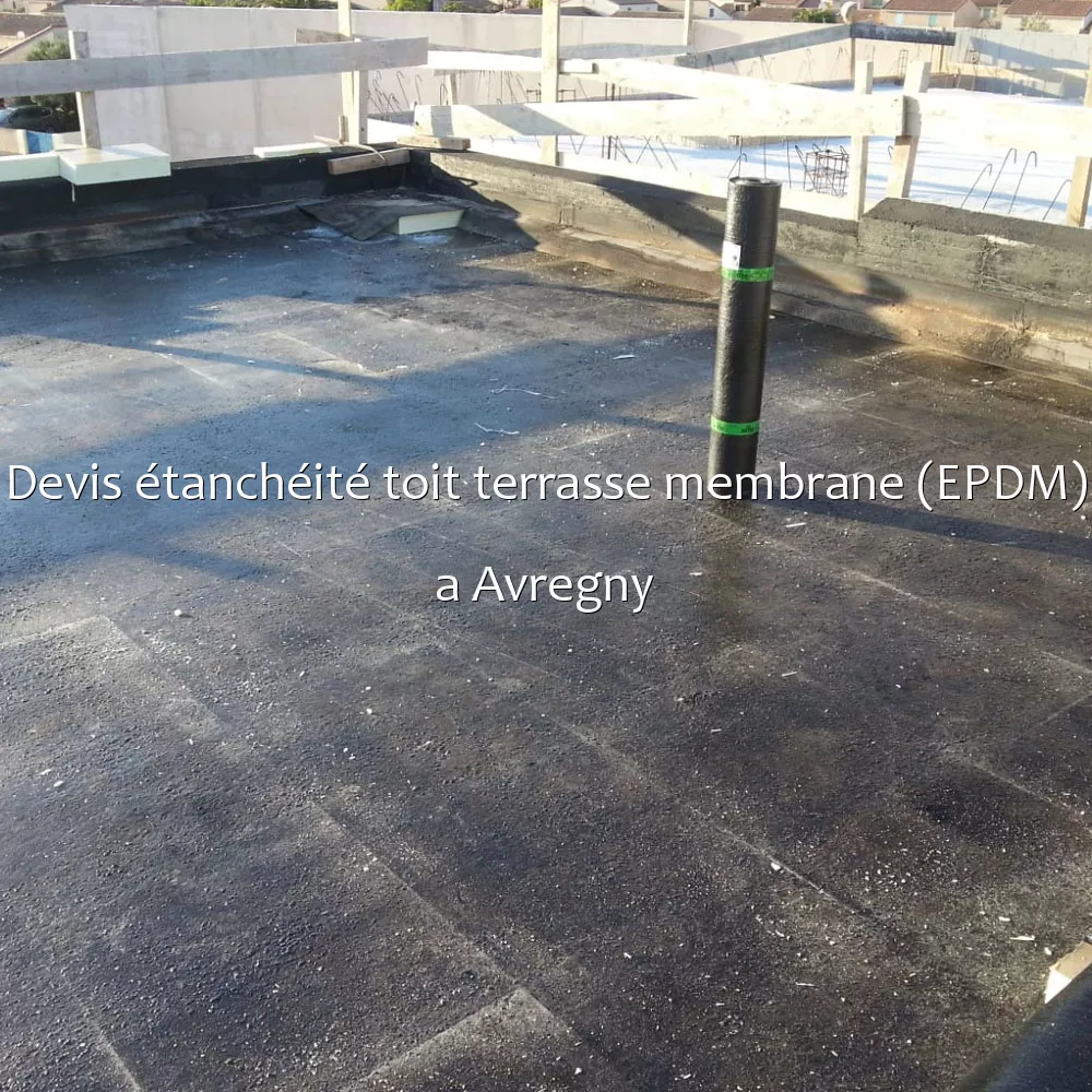 Devis étanchéité toit terrasse membrane (EPDM) a Avregny