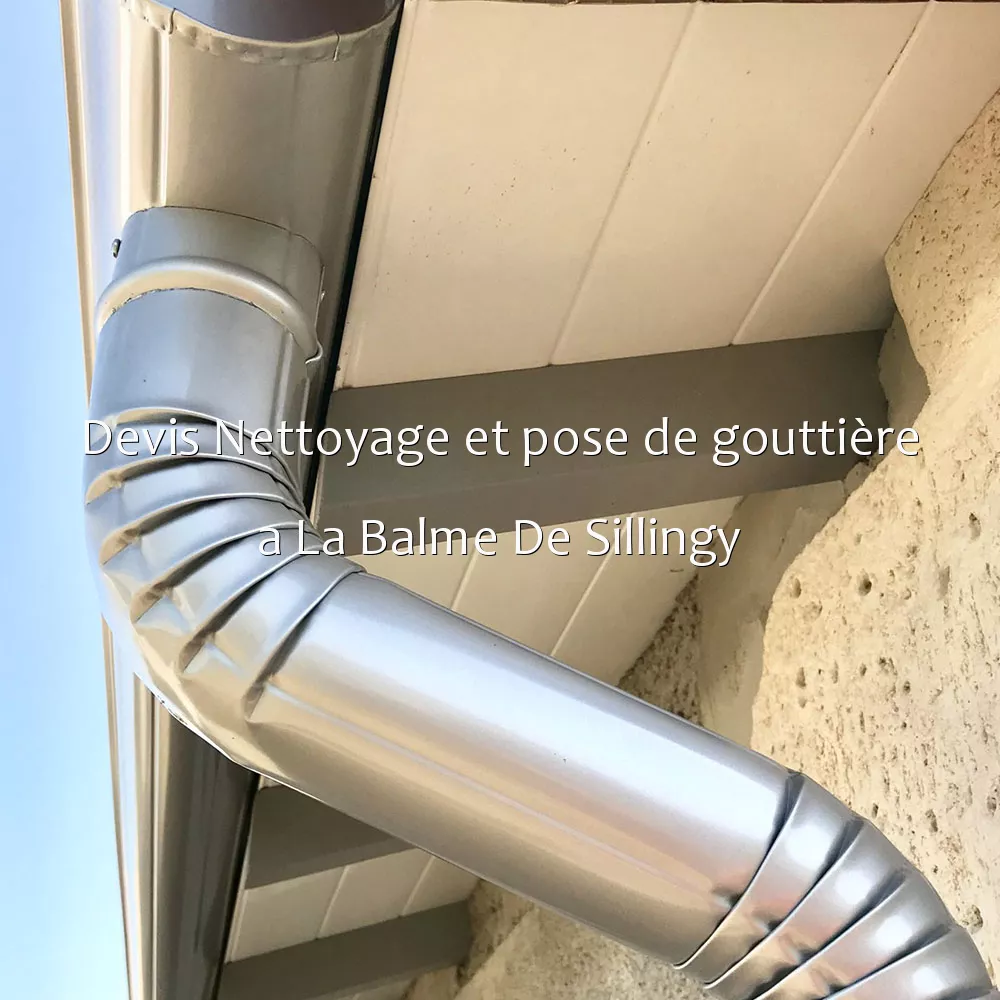 Devis Nettoyage et pose de gouttière a La Balme De Sillingy