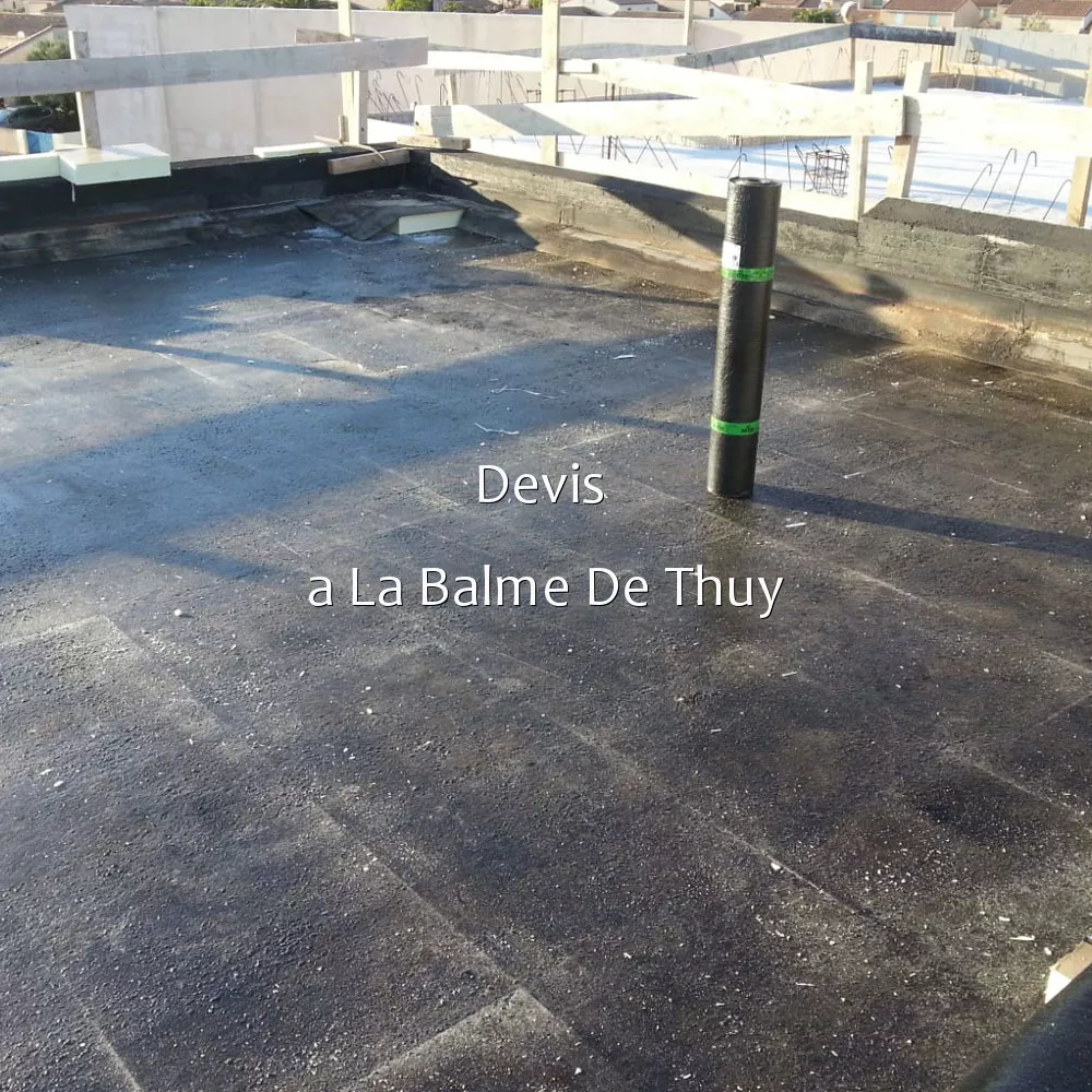 Devis  a La Balme De Thuy