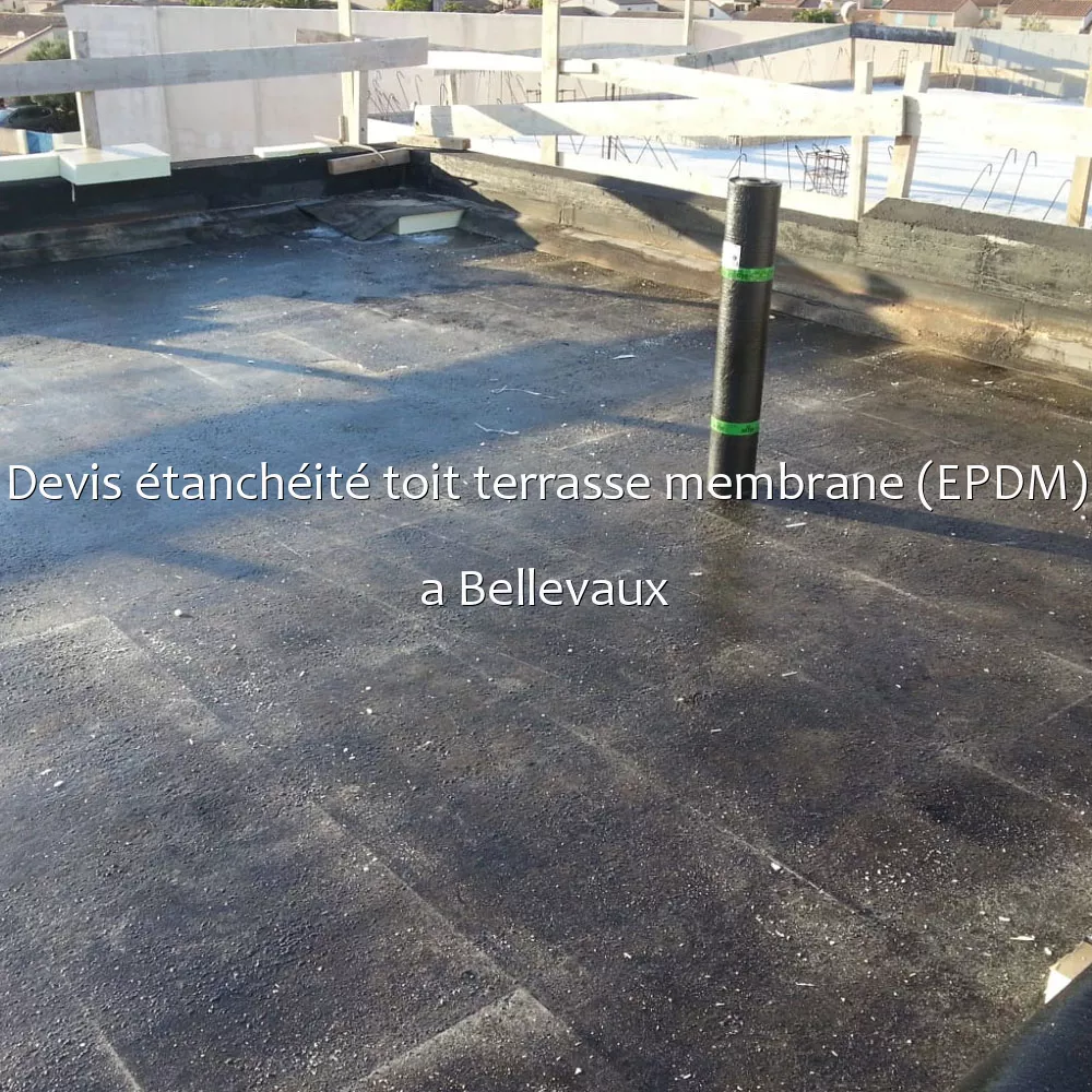 Devis étanchéité toit terrasse membrane (EPDM) a Bellevaux