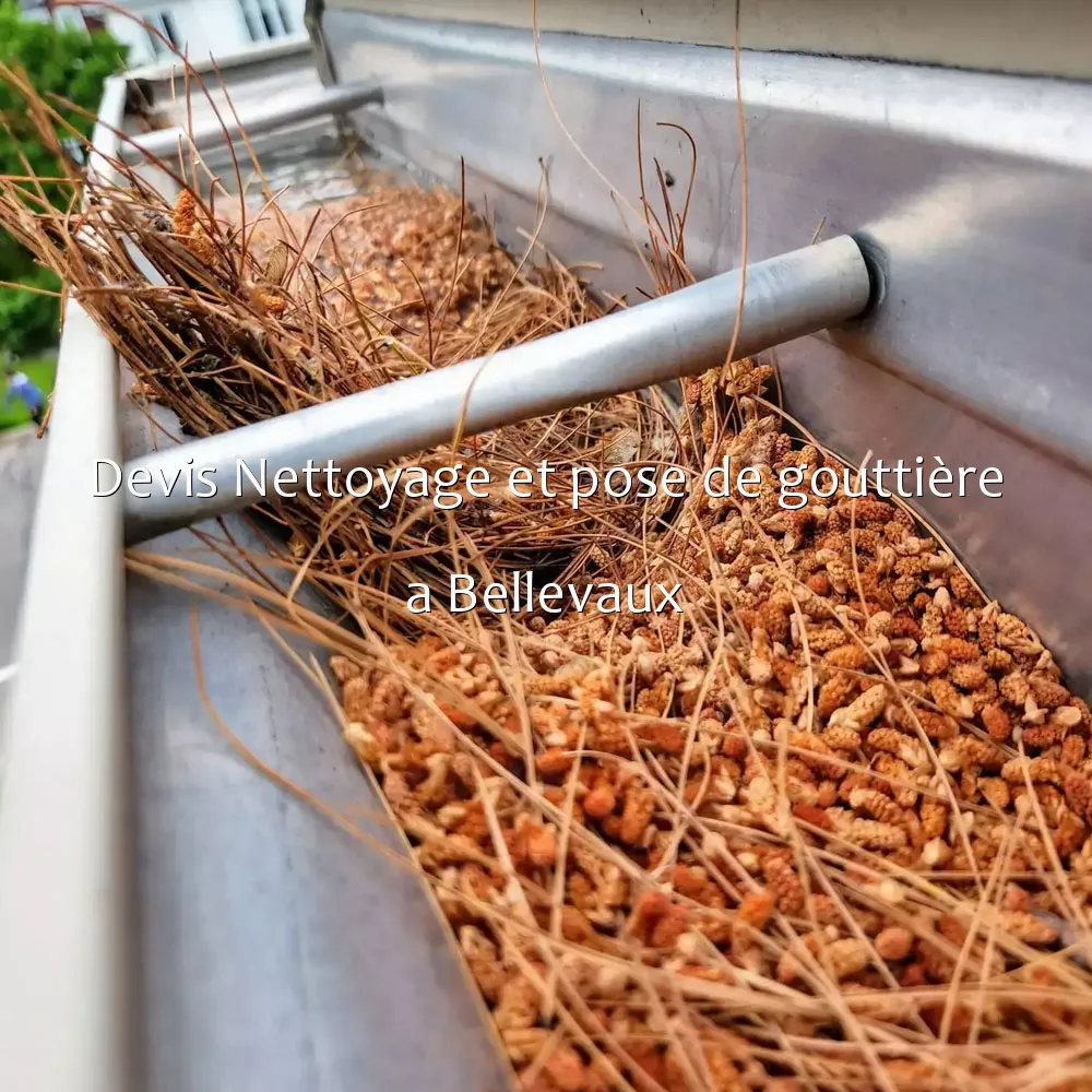 Devis Nettoyage et pose de gouttière a Bellevaux