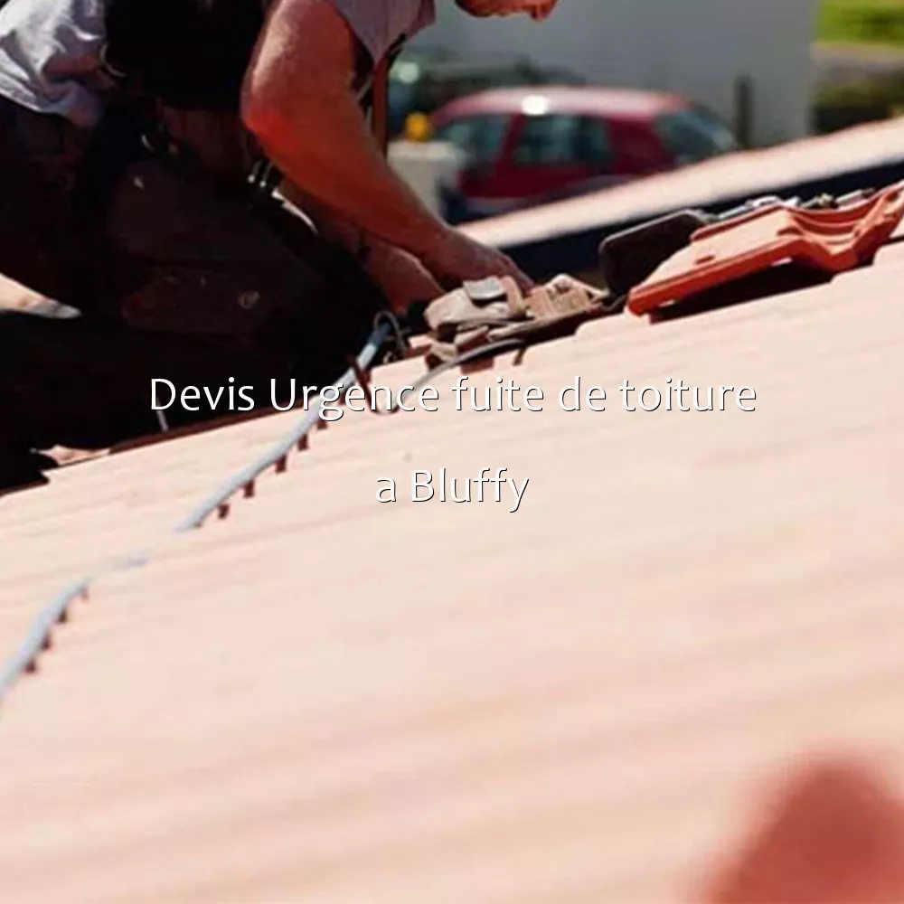 Devis Urgence fuite de toiture a Bluffy