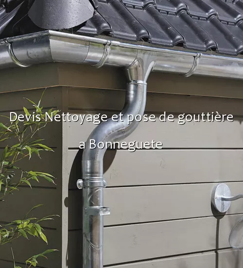 Devis Nettoyage et pose de gouttière a Bonneguete