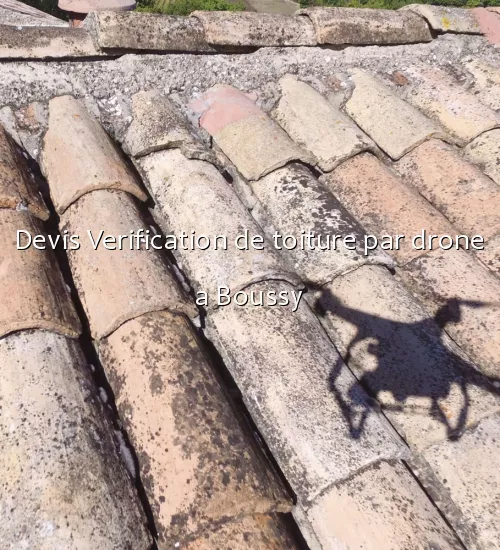 Devis Verification de toiture par drone a Boussy