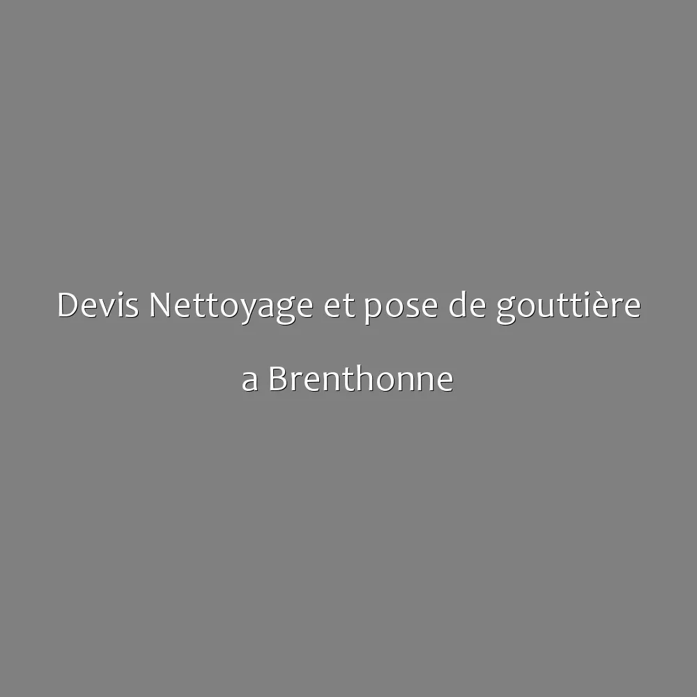 Devis Nettoyage et pose de gouttière a Brenthonne