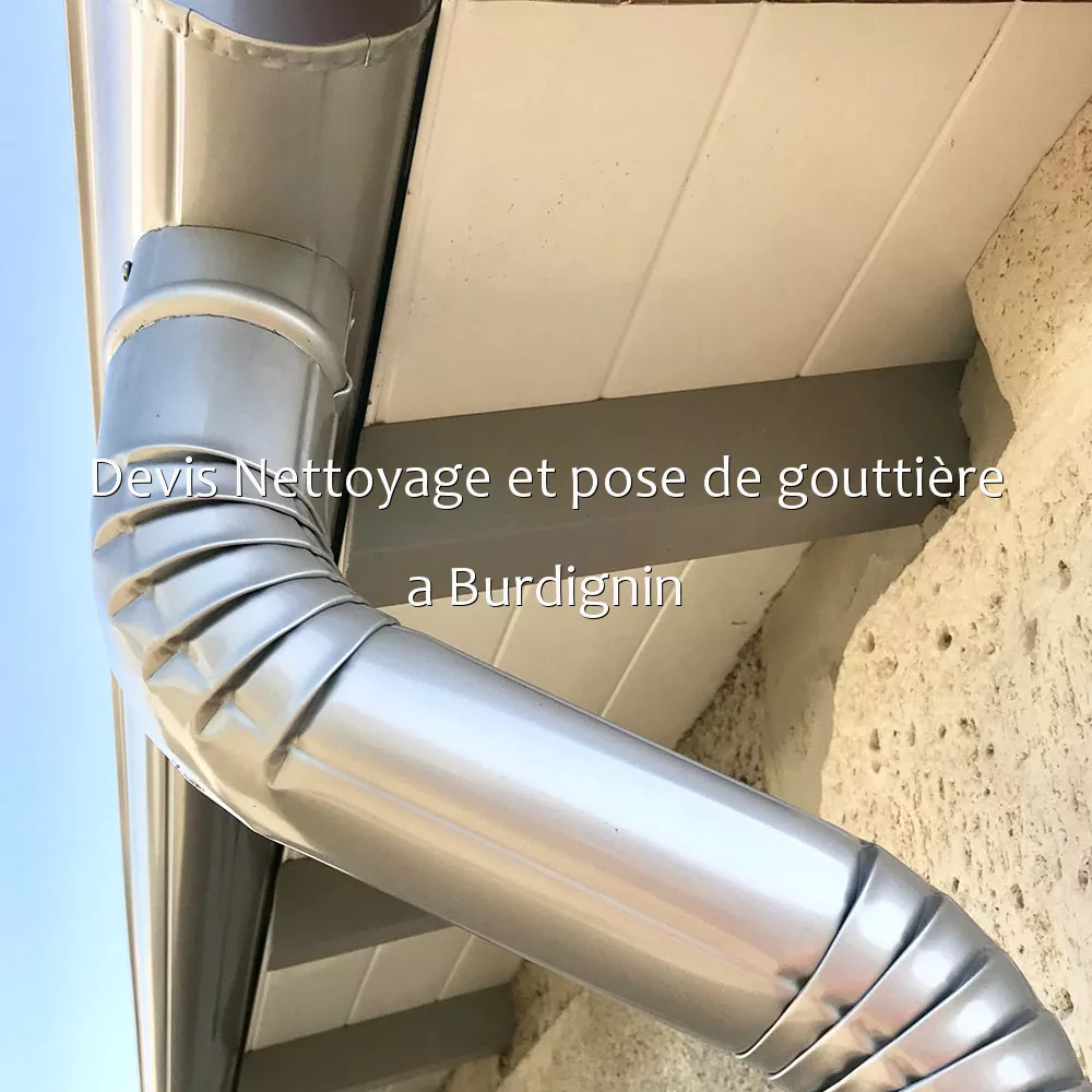 Devis Nettoyage et pose de gouttière a Burdignin