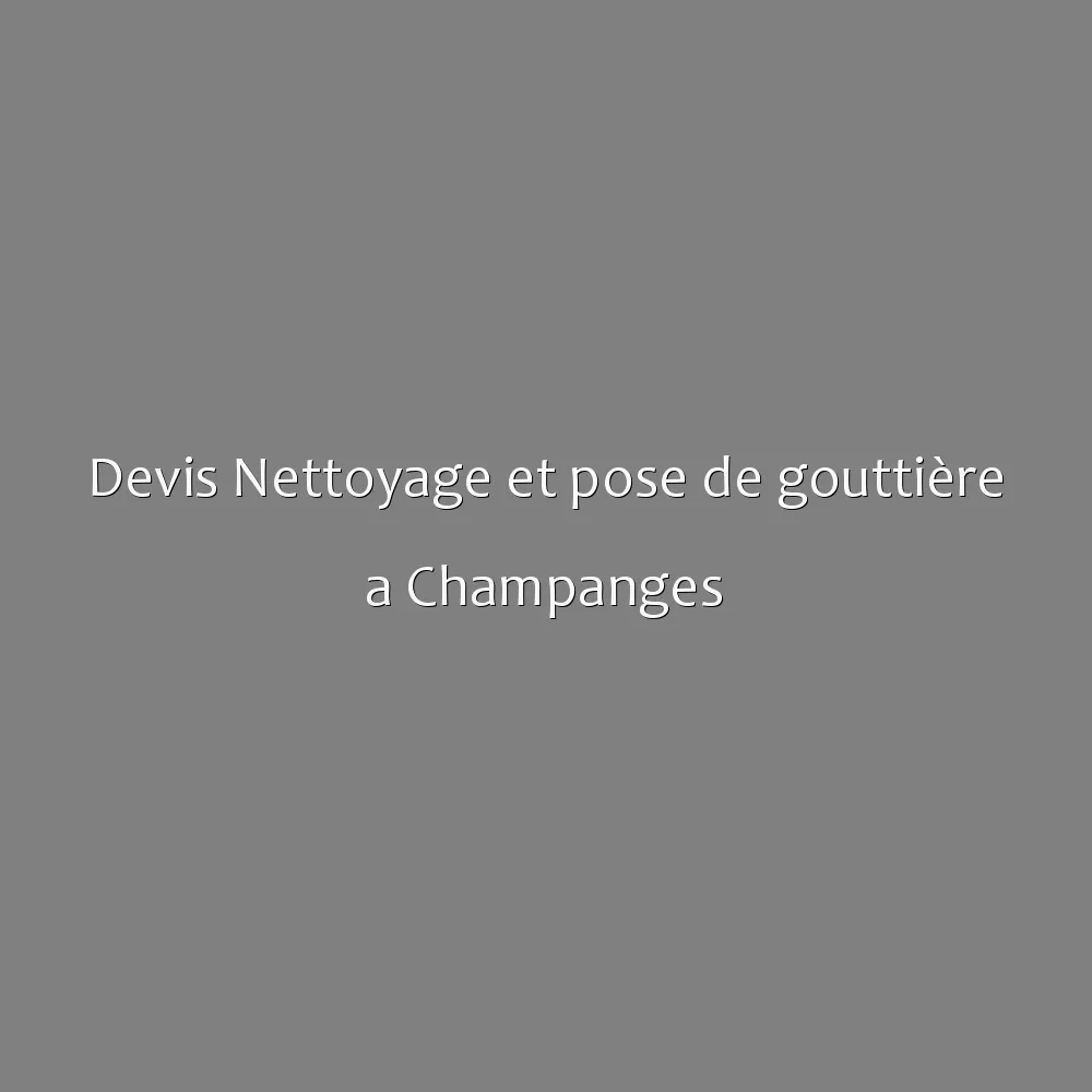 Devis Nettoyage et pose de gouttière a Champanges