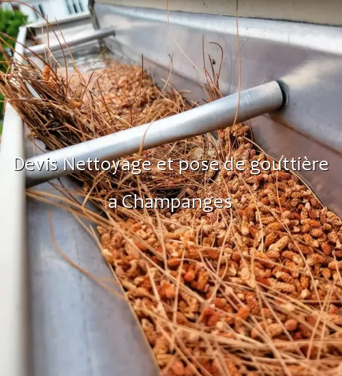 Devis Nettoyage et pose de gouttière a Champanges