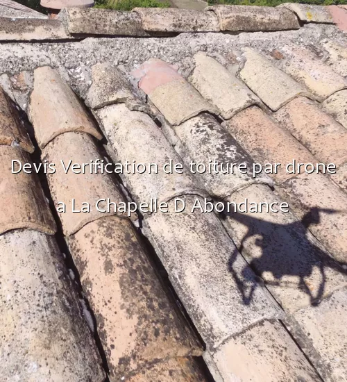 Devis Verification de toiture par drone a La Chapelle D Abondance