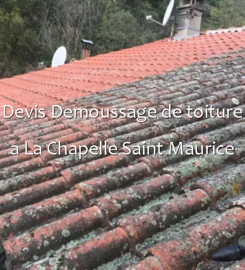 Devis Demoussage de toiture a La Chapelle Saint Maurice