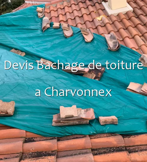 Devis Bachage de toiture a Charvonnex