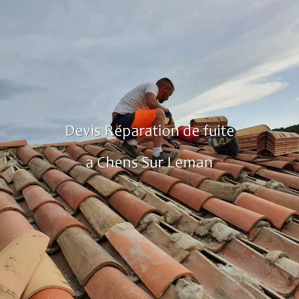 Devis Réparation de fuite a Chens Sur Leman