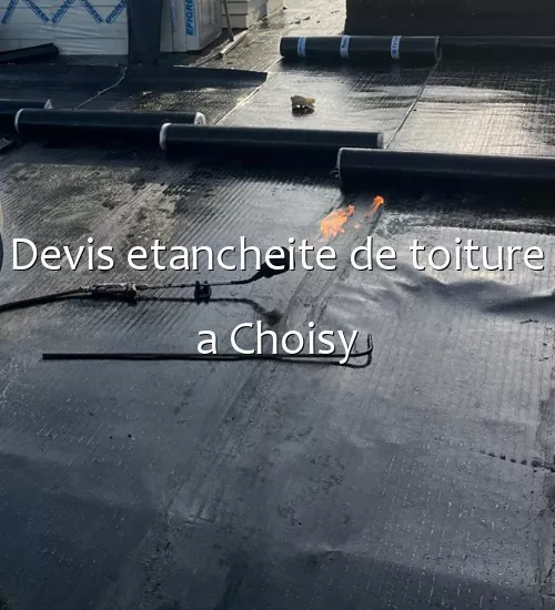 Devis etancheite de toiture a Choisy