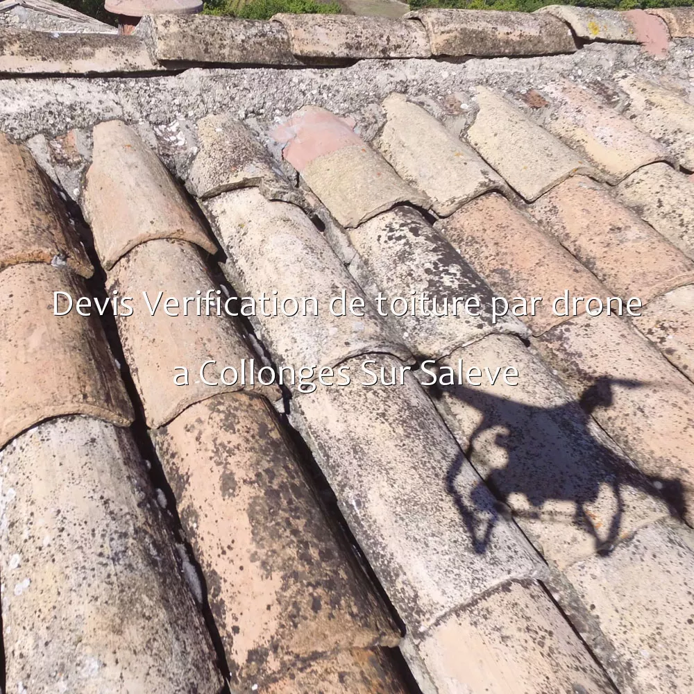Devis Verification de toiture par drone a Collonges Sur Saleve