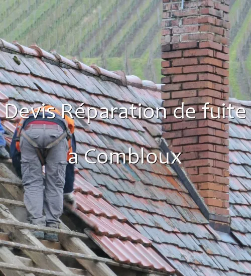 Devis Réparation de fuite a Combloux