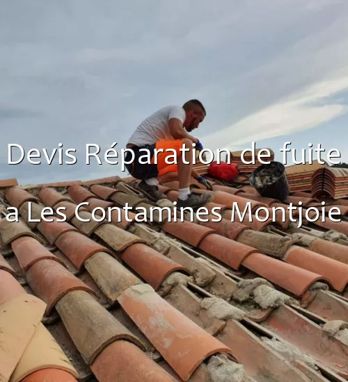 Devis Réparation de fuite a Les Contamines Montjoie