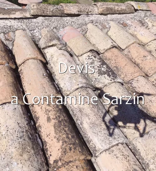 Devis  a Contamine Sarzin