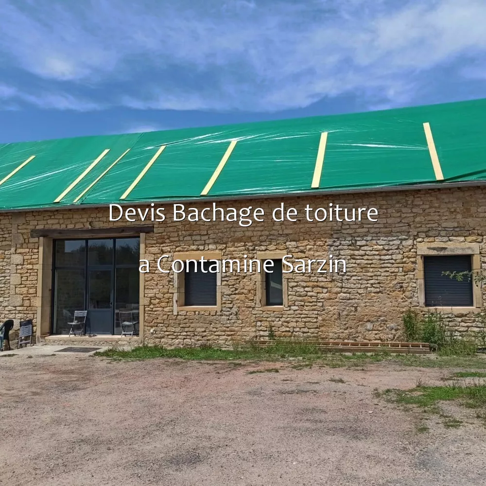 Devis Bachage de toiture a Contamine Sarzin