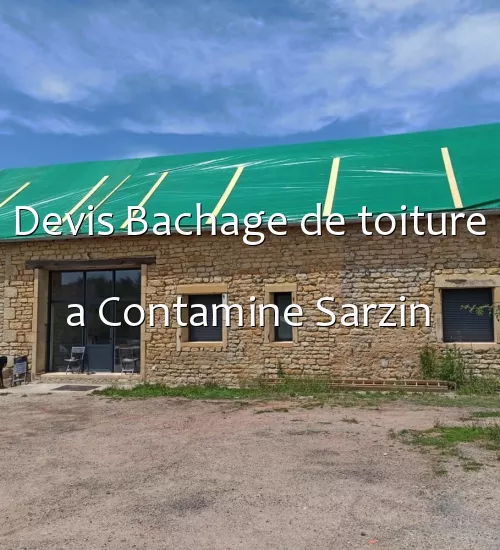 Devis Bachage de toiture a Contamine Sarzin