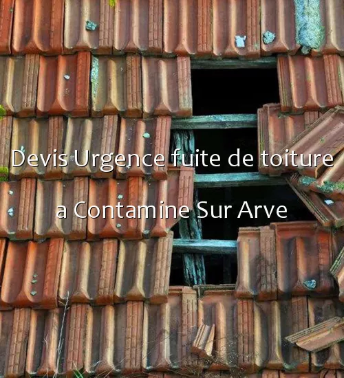 Devis Urgence fuite de toiture a Contamine Sur Arve