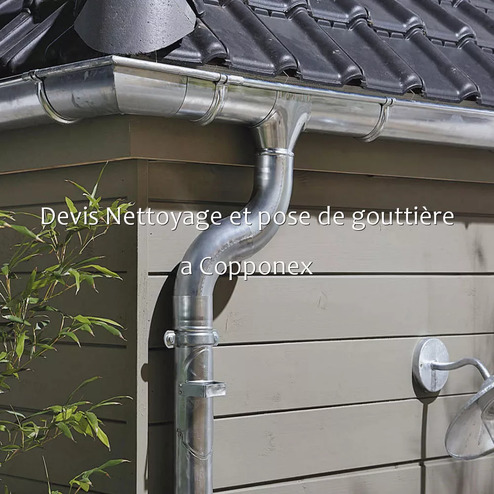 Devis Nettoyage et pose de gouttière a Copponex