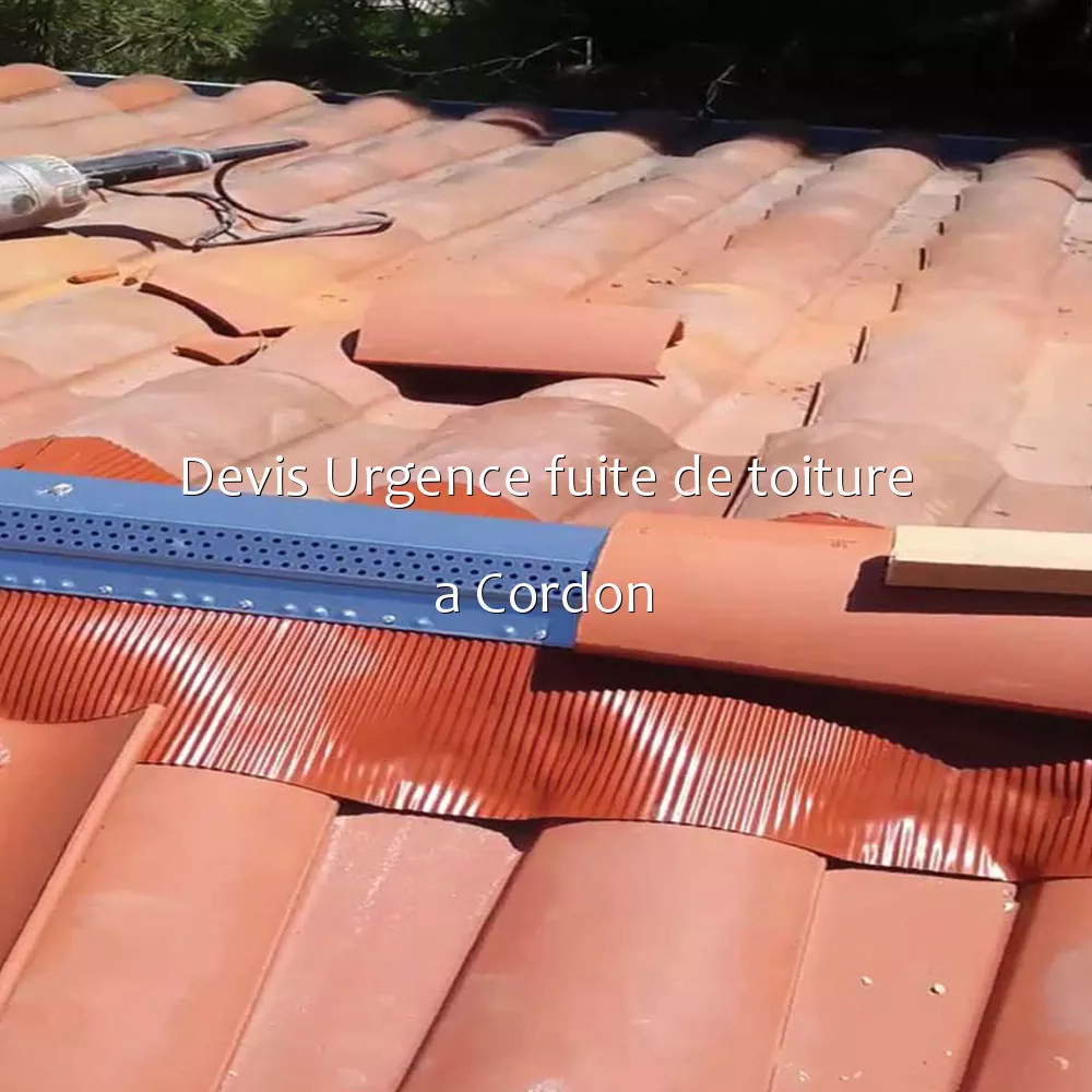 Devis Urgence fuite de toiture a Cordon