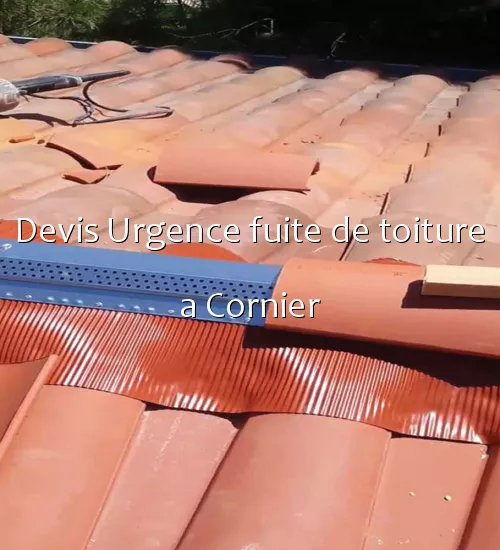 Devis Urgence fuite de toiture a Cornier