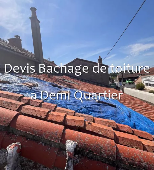 Devis Bachage de toiture a Demi Quartier