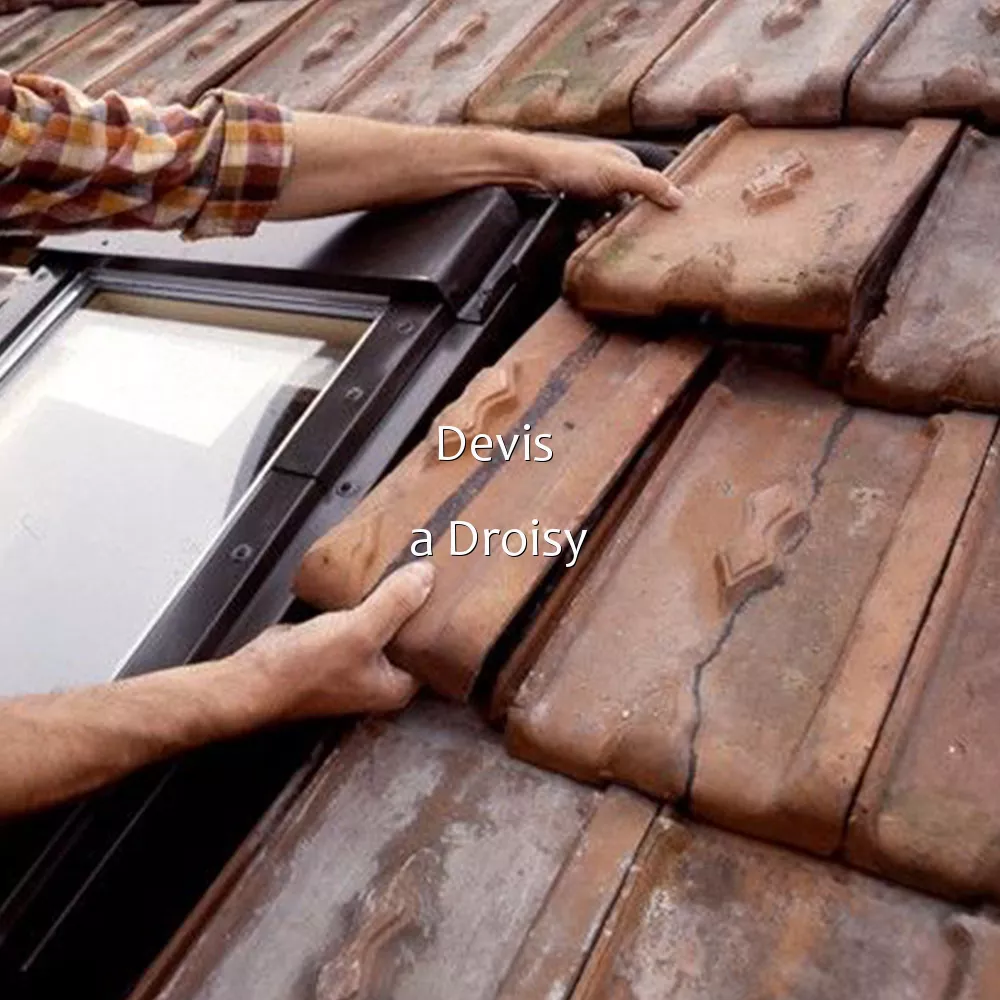 Devis a Droisy