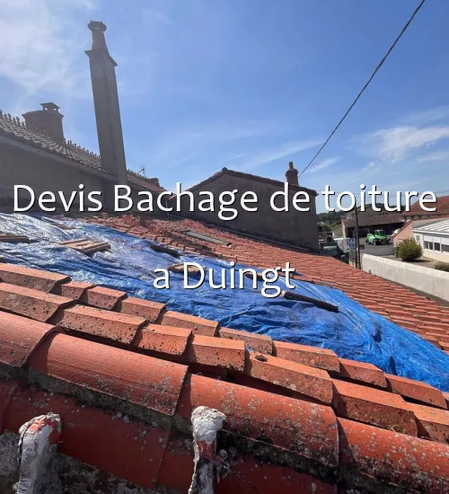 Devis Bachage de toiture a Duingt