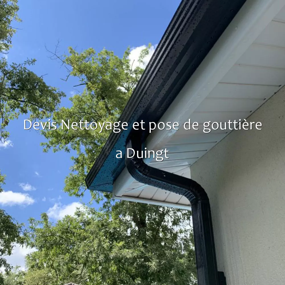 Devis Nettoyage et pose de gouttière a Duingt