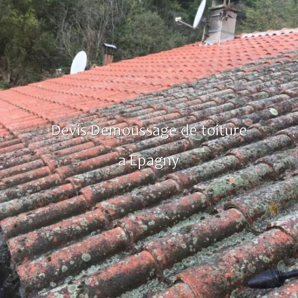 Devis Demoussage de toiture a Epagny
