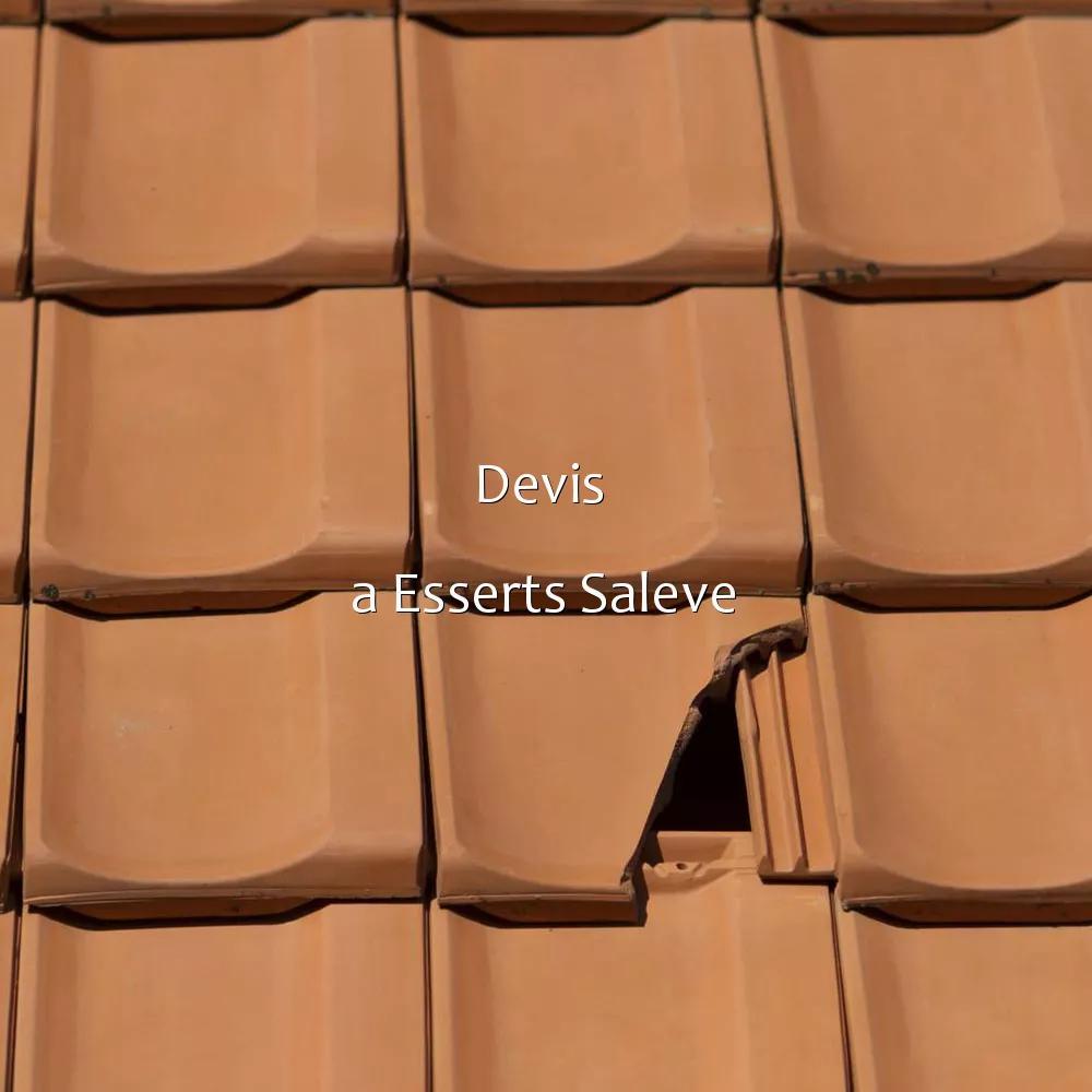 Devis  a Esserts Saleve