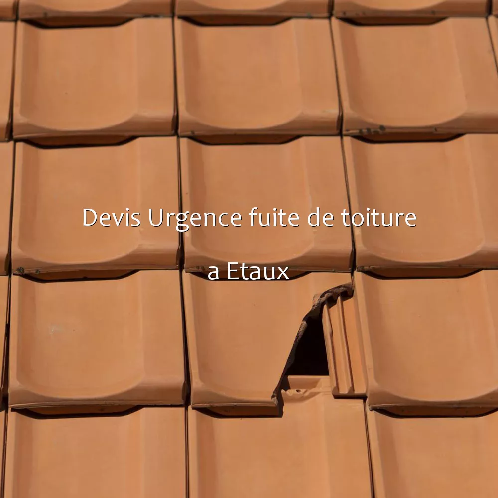 Devis Urgence fuite de toiture a Etaux