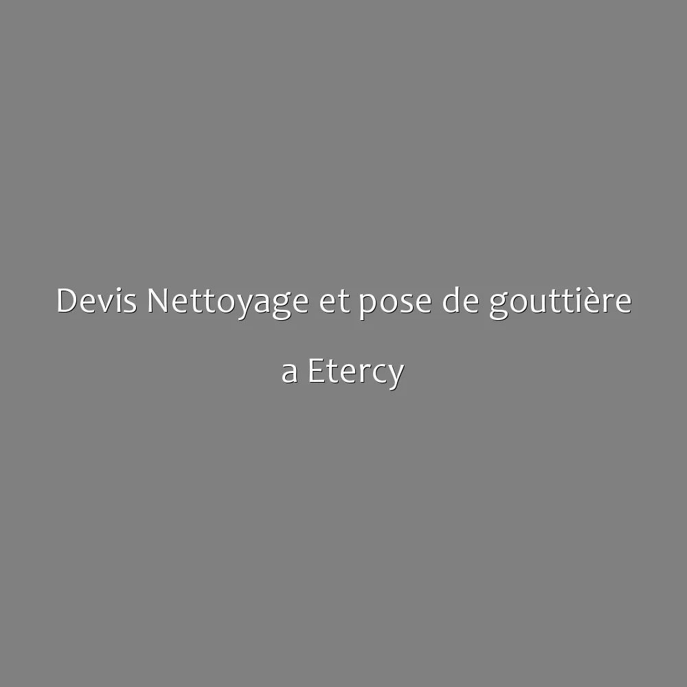 Devis Nettoyage et pose de gouttière a Etercy