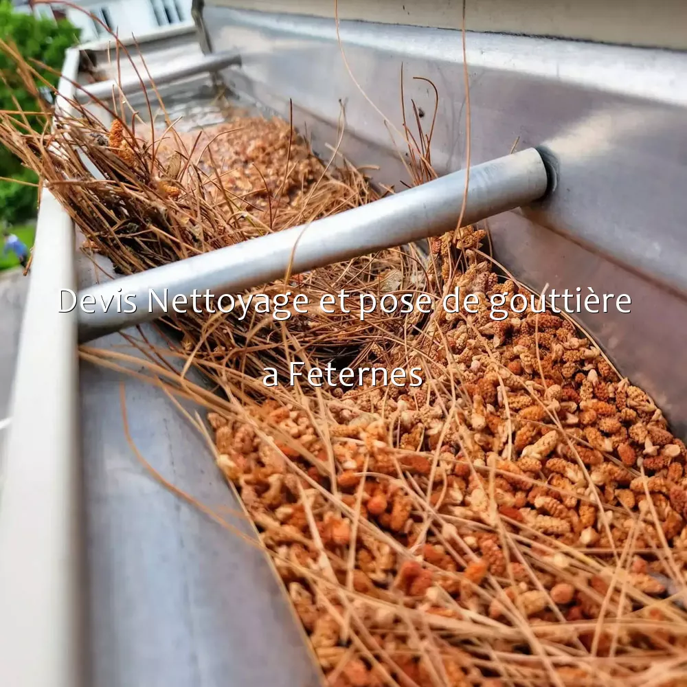 Devis Nettoyage et pose de gouttière a Feternes