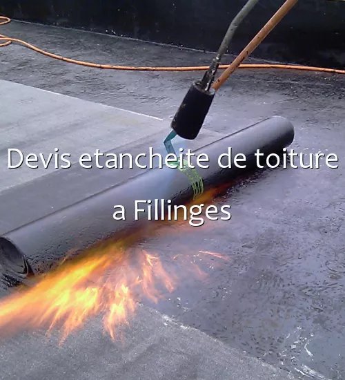 Devis etancheite de toiture a Fillinges