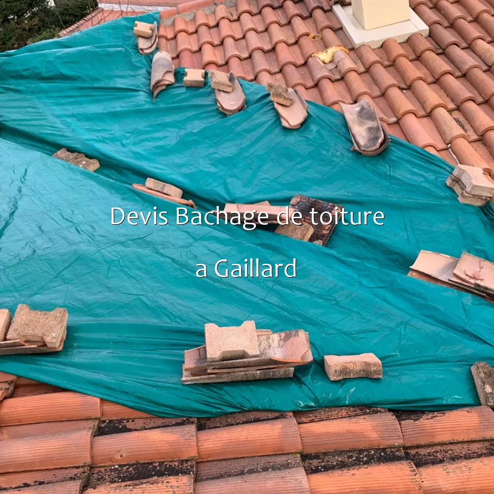 Devis Bachage de toiture a Gaillard