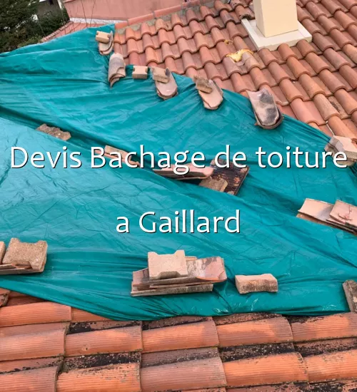Devis Bachage de toiture a Gaillard