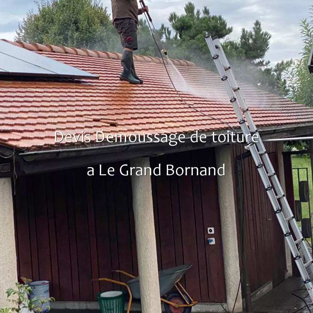 Devis Demoussage de toiture a Le Grand Bornand
