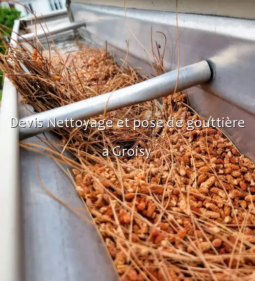 Devis Nettoyage et pose de gouttière a Groisy