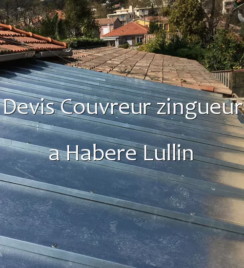 Devis Couvreur zingueur a Habere Lullin