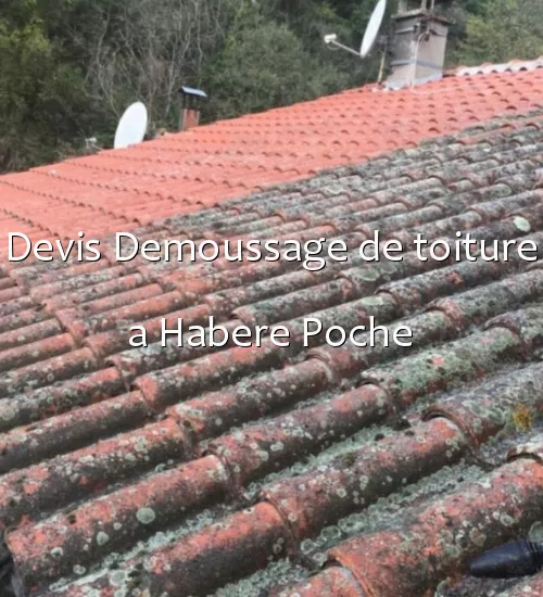 Devis Demoussage de toiture a Habere Poche