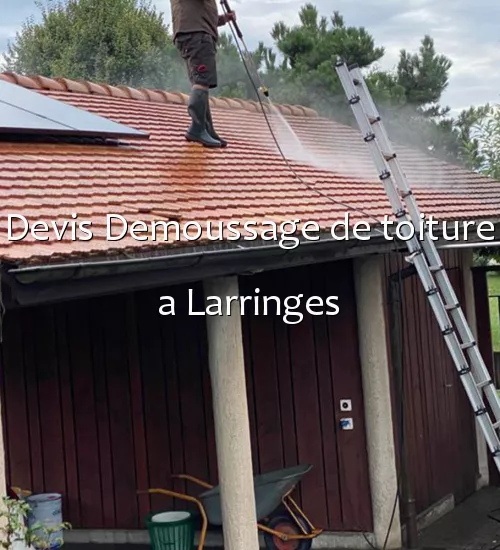 Devis Demoussage de toiture a Larringes