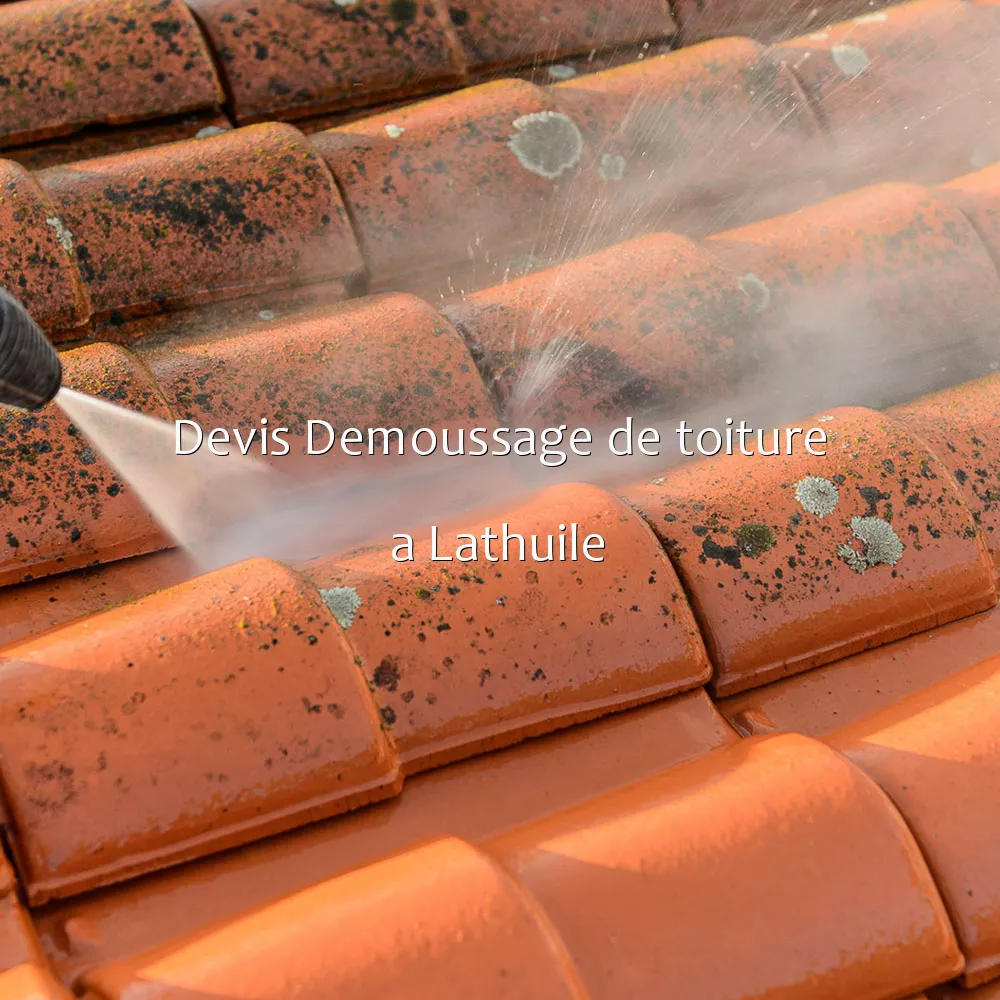 Devis Demoussage de toiture a Lathuile